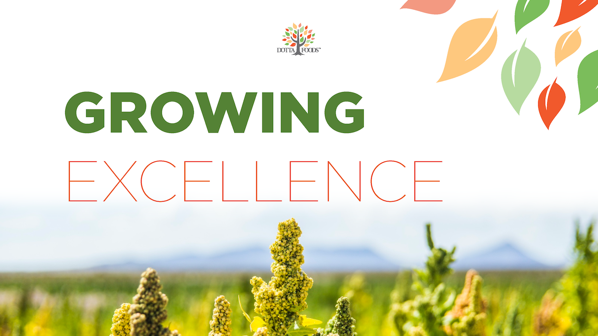 Excellence with Innovative Planting Solutions
